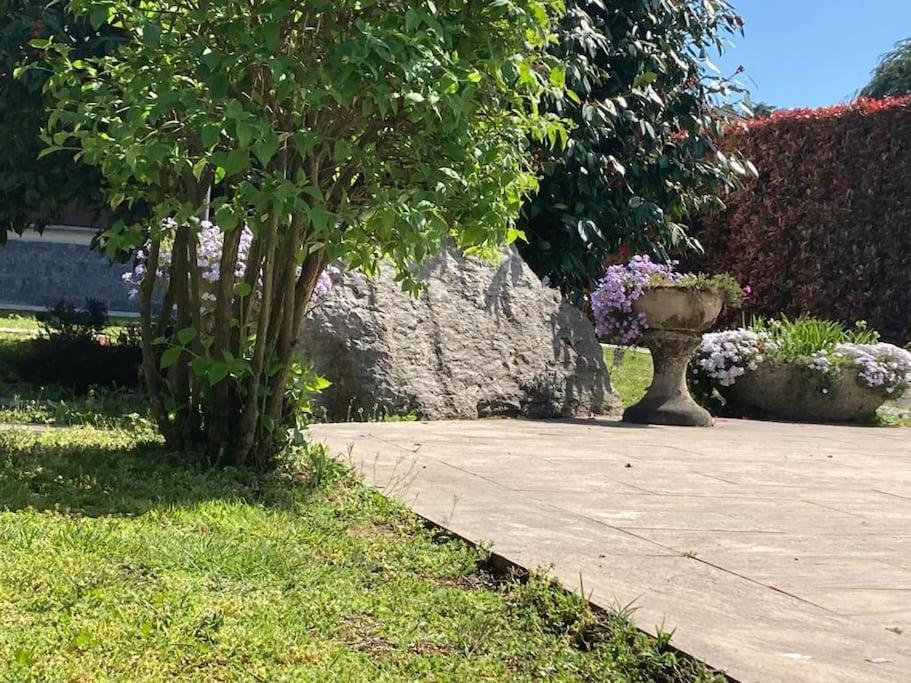 Un Bell Incontro Appartement Borgo Ticino Buitenkant foto