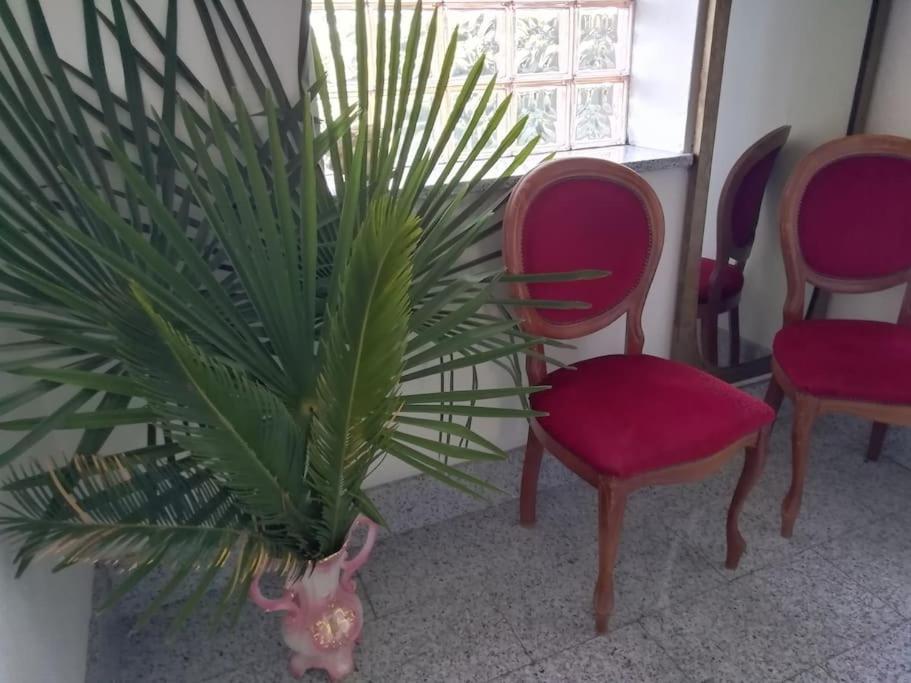 Un Bell Incontro Appartement Borgo Ticino Buitenkant foto