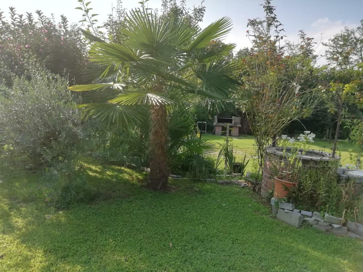 Un Bell Incontro Appartement Borgo Ticino Buitenkant foto